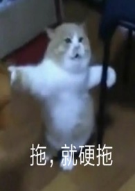 魅魔成长日记最新章节