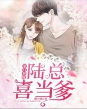陆总独宠替嫁