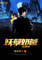 叶辰苏清雅1-100集免费看