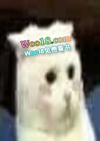 穿成一只猫的小说推荐